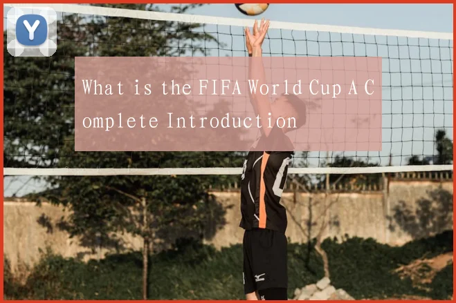 What is the FIFA World Cup A Complete Introduction