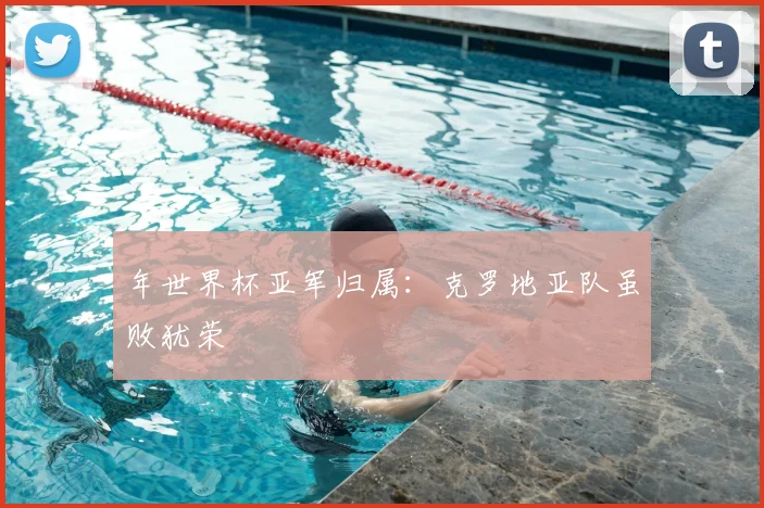 年世界杯亚军归属：克罗地亚队虽败犹荣