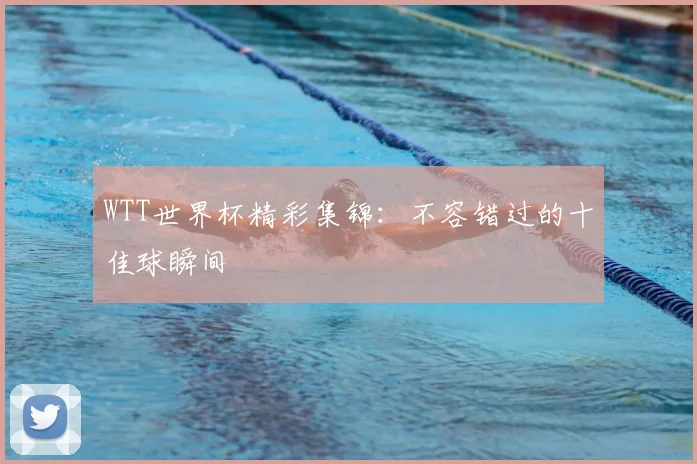 WTT世界杯精彩集锦：不容错过的十佳球瞬间