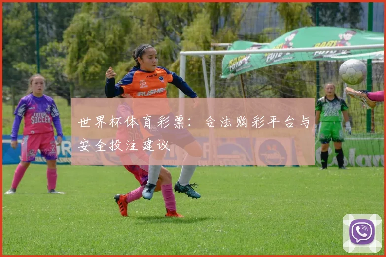世界杯体育彩票:合法购彩平台与安全投注建议
